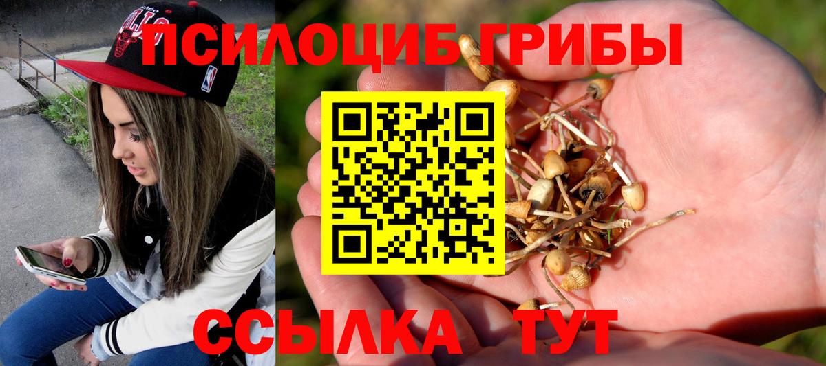 Чебоксары  Псилоцибиновые грибы MAGIC MUSHROOMS  Вход с VPN 