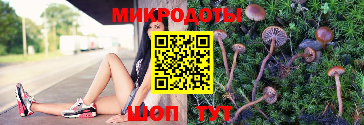 Галлюциногенные грибы GOLDEN TEACHER Чебоксары